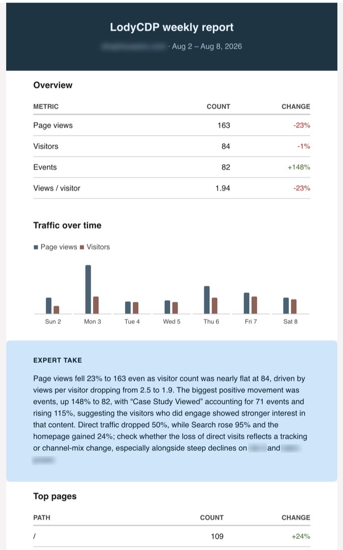 Example LodyCDP weekly report with overview metrics, a traffic chart, and expert interpretation